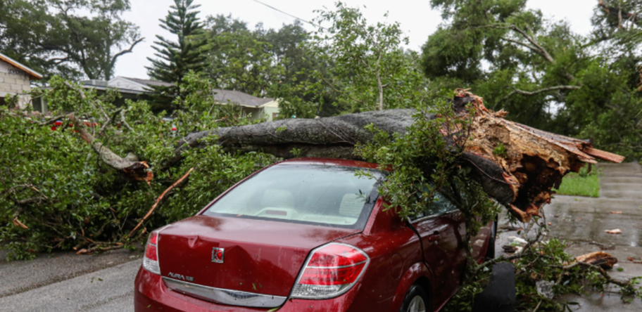 Emergency service from Kansas City tree pros for broken tree in Kansas City Missouri
