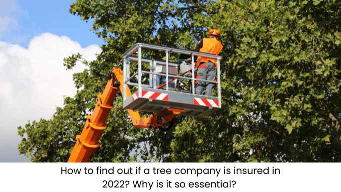 How to find out if a tree company is insured