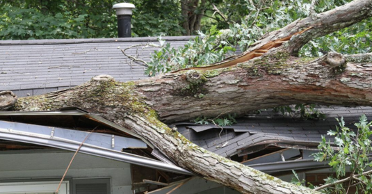 Emergency service by Kansas City tree pros for a tree fallen on roof in Kansas City,MO